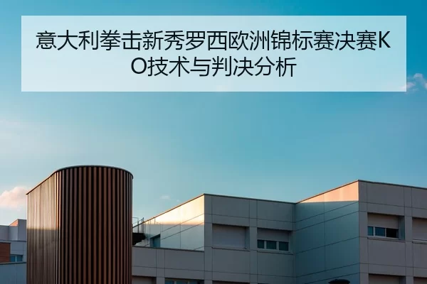 意大利拳击新秀罗西欧洲锦标赛决赛KO技术与判决分析