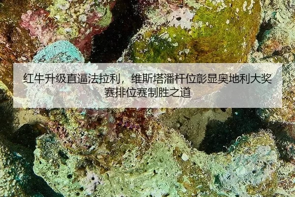红牛升级直逼法拉利，维斯塔潘杆位彰显奥地利大奖赛排位赛制胜之道