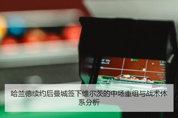 ha-lan-de-xu-yue-hou-man-cheng-qian-xia-wei-er-ci-de-zhong-chang-chong-zu-yu-zhan-shu-ti-xi-fen-xi-3-606.jpg